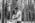 photo-séance-couple-château-des-pères